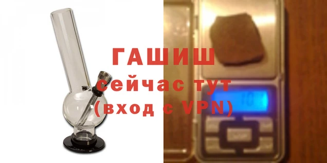 трава Балахна