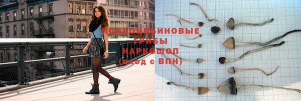 соль ск Аркадак